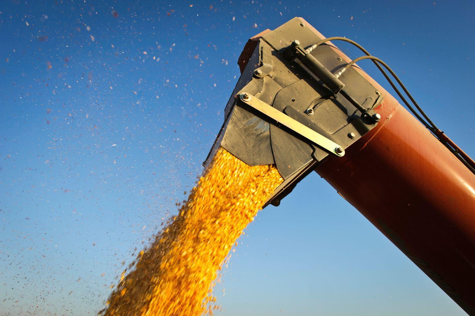 Relative Yield Model